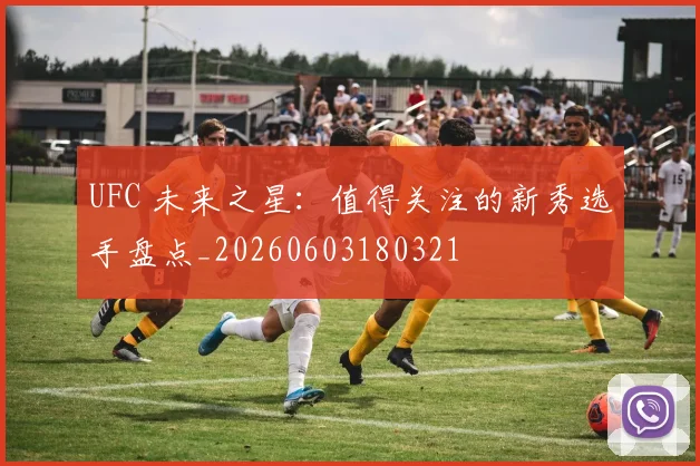 UFC 未来之星：值得关注的新秀选手盘点_20260603180321