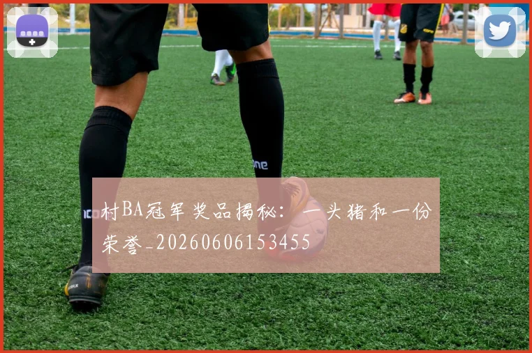 村BA冠军奖品揭秘：一头猪和一份荣誉_20260606153455