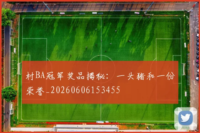 村BA冠军奖品揭秘：一头猪和一份荣誉_20260606153455
